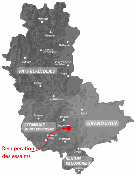 Carte récupération essaims